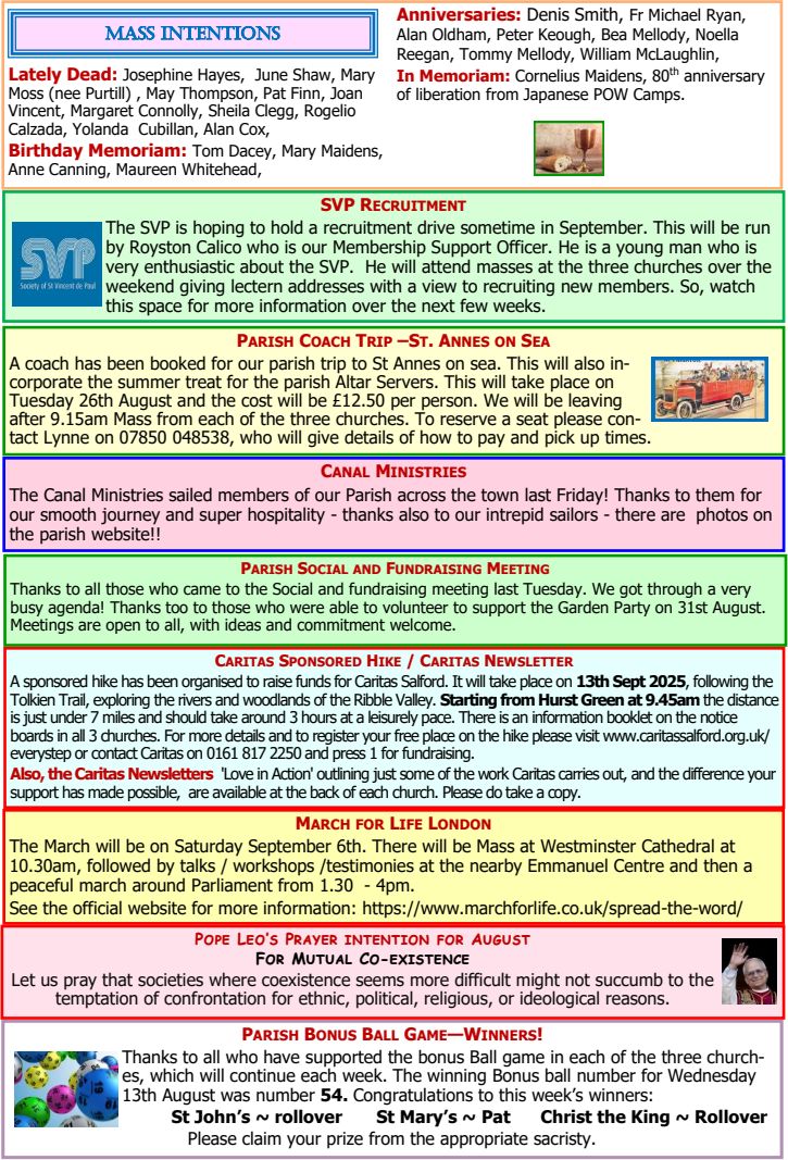 250817 20thSunOrdC P2