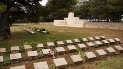 twelve tree copse 01